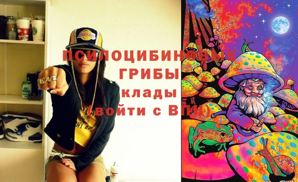 мдма Белокуриха